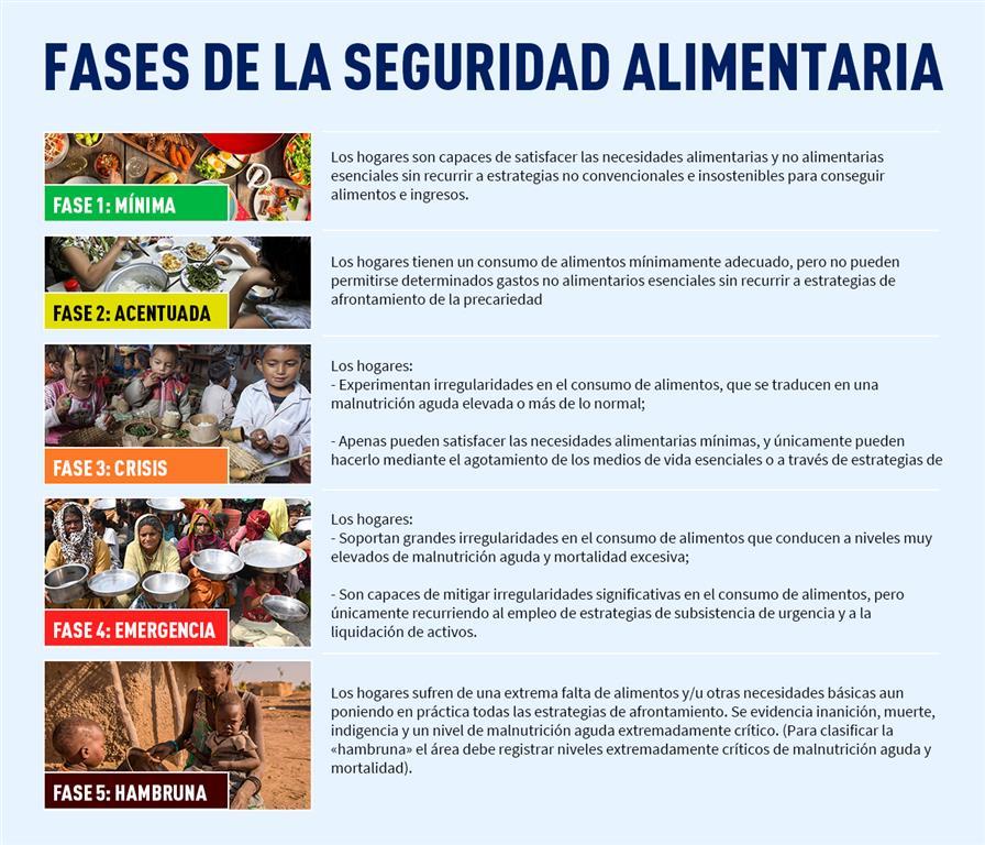 Fases de la Seguridad Alimentaria